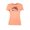 Picture of Woman Short Sleeves T-shirt ss1809