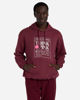 Picture of Unisex Hoodie Sweatshirt tpm250w24