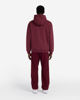 Picture of Unisex Hoodie Sweatshirt tpm250w24