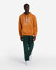 Picture of Unisex Hoodie Sweatshirt tpm250w24