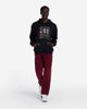 Picture of Unisex Hoodie Sweatshirt tpm250w24